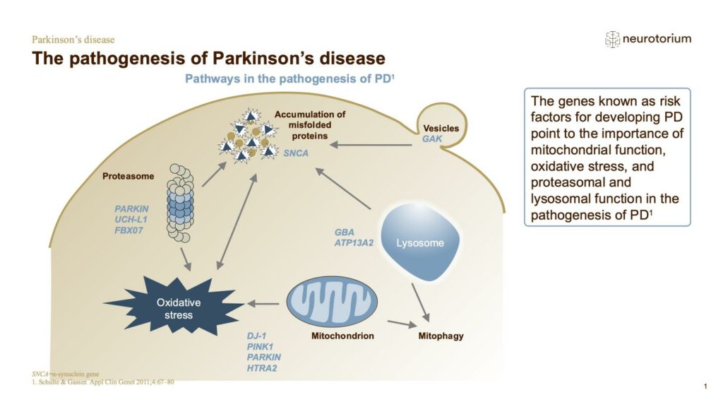 The pathogenesis of Parkinson’s disease